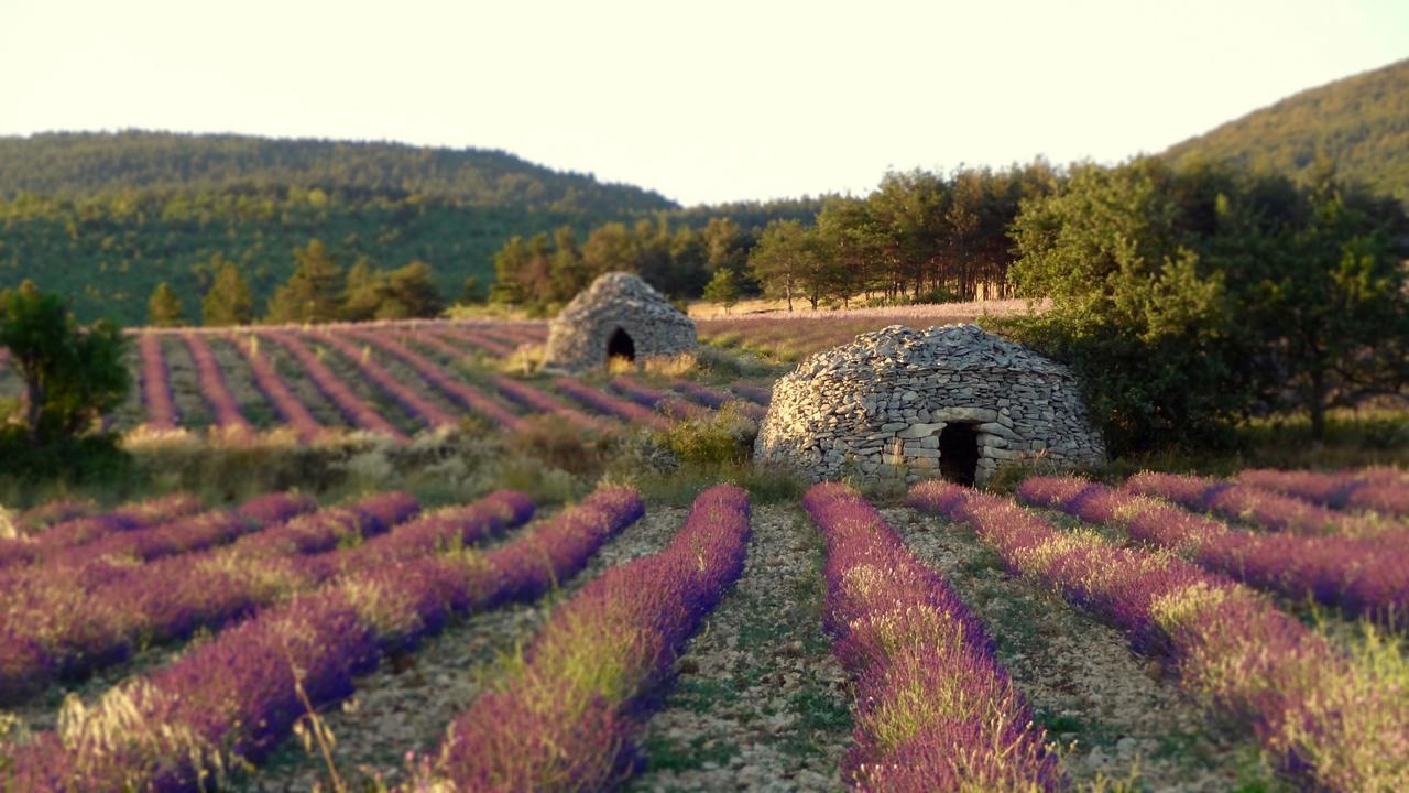Chateau Ferrassieres Kültér fotó
